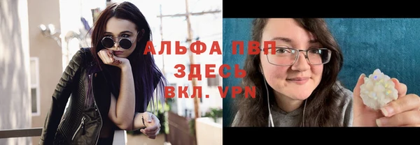 индика Баксан