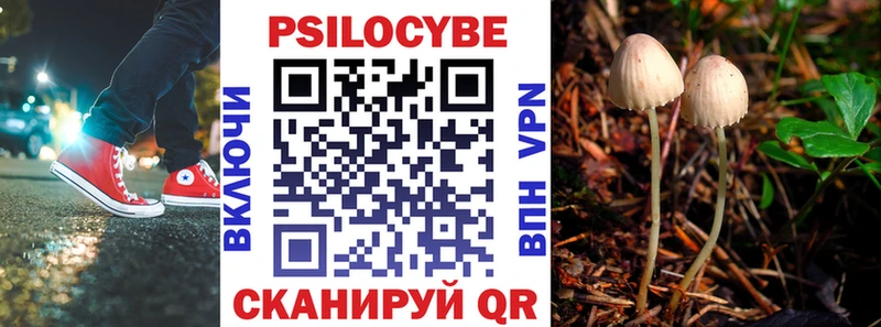 нарко площадка формула Краснокаменск Псилоцибиновые грибы прущие грибы купить закладку